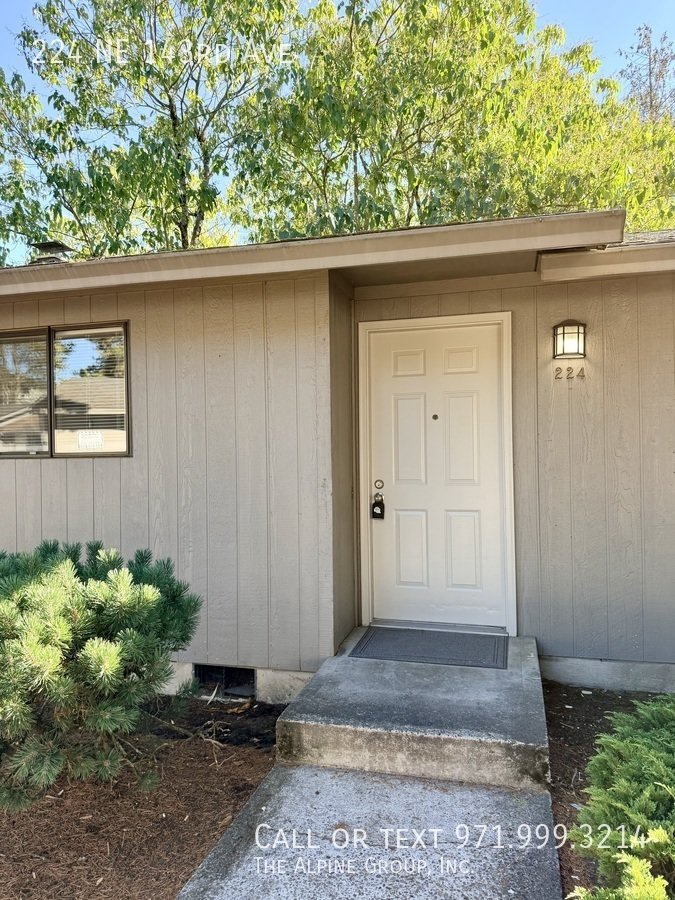 FIRST MONTH FREE ✨ New LVP Floors, Patio & Storage Space property image