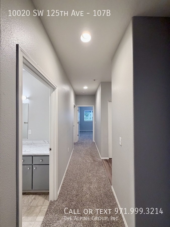 ✨ Freshly Updated 2-Bed with Patio & In-Unit W/D ✨ property image